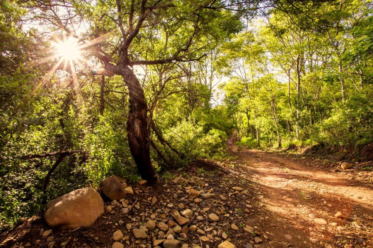 Rivendell Trout Estate Villa Lydenburg Luaran gambar
